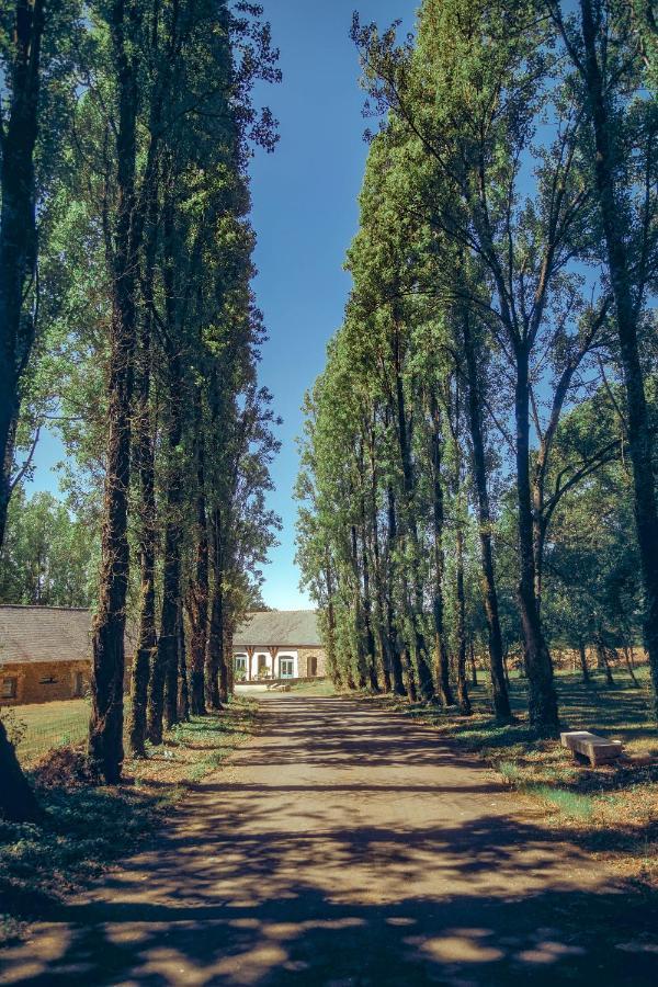 Апартаменти La Grange De L'Epine Forges-la-Foret Екстер'єр фото